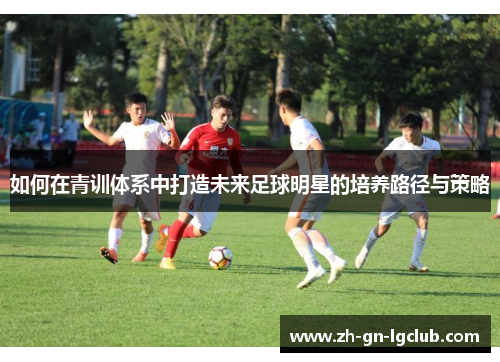 如何在青训体系中打造未来足球明星的培养路径与策略