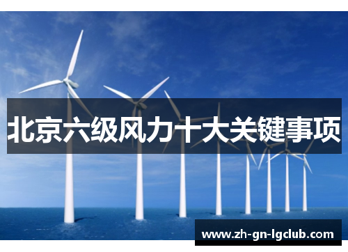 北京六级风力十大关键事项