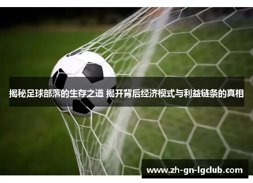 揭秘足球部落的生存之道 揭开背后经济模式与利益链条的真相