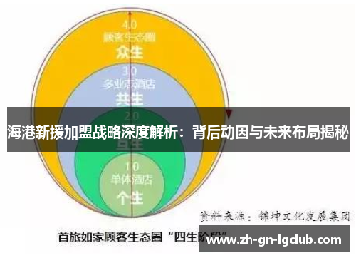 海港新援加盟战略深度解析：背后动因与未来布局揭秘