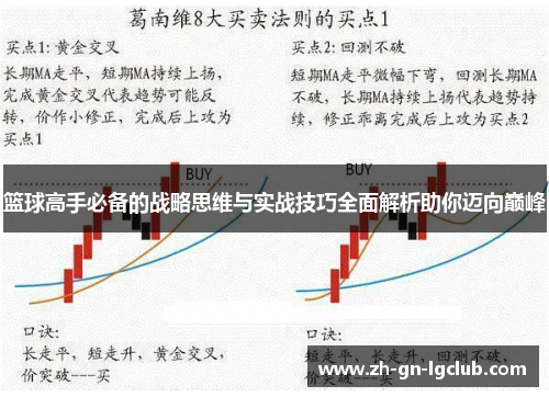 篮球高手必备的战略思维与实战技巧全面解析助你迈向巅峰