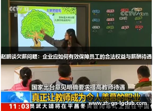 赵鹏谈欠薪问题：企业应如何有效保障员工的合法权益与薪酬待遇